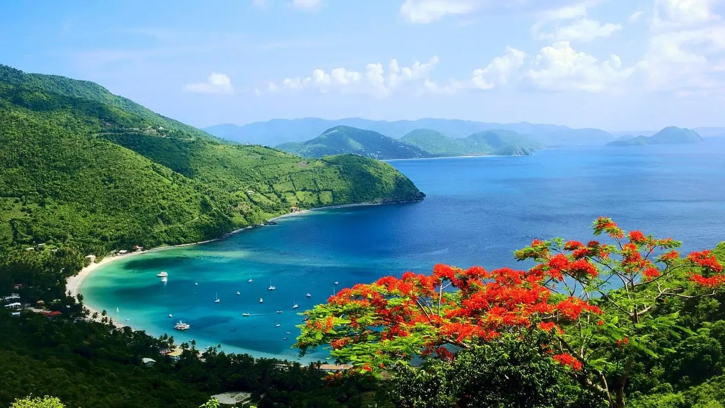 高效高标准科技